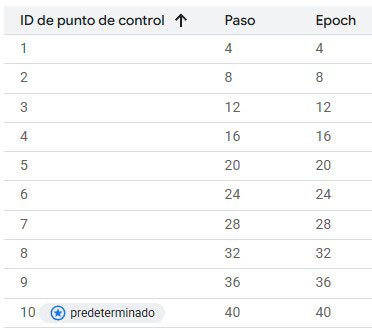 Tabla de Puntos de Control del Entrenamiento